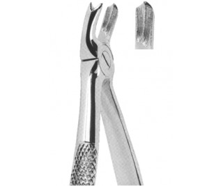 Extracting Forceps English pattern